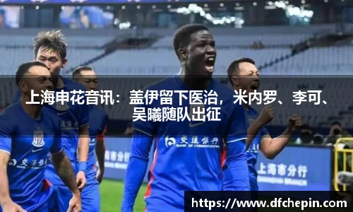 上海申花音讯：盖伊留下医治，米内罗、李可、吴曦随队出征